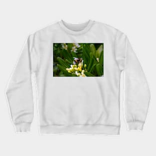 A Bee Gathering Nectar Crewneck Sweatshirt